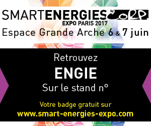 SEE17 - Banner expo - 300x250 - Fr13 (2).png